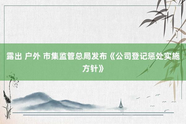 露出 户外 市集监管总局发布《公司登记惩处实施方针》