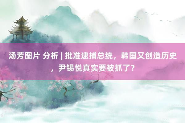 汤芳图片 分析 | 批准逮捕总统，韩国又创造历史，尹锡悦真实要被抓了？