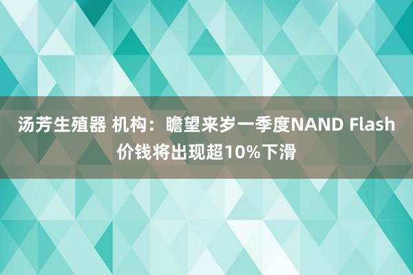 汤芳生殖器 机构：瞻望来岁一季度NAND Flash价钱将出现超10%下滑