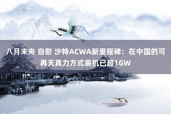 八月未央 自慰 沙特ACWA新里程碑：在中国的可再天真力方式装机已超1GW