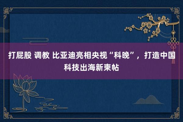 打屁股 调教 比亚迪亮相央视“科晚”，打造中国科技出海新柬帖