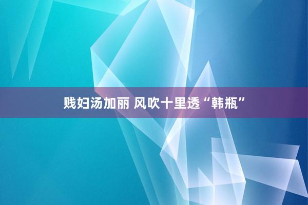 贱妇汤加丽 风吹十里透“韩瓶”