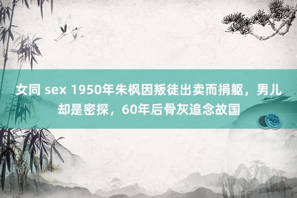 女同 sex 1950年朱枫因叛徒出卖而捐躯，男儿却是密探，60年后骨灰追念故国