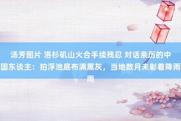 汤芳图片 洛杉矶山火合手续残忍 对话亲历的中国东谈主：拍浮池底布满黑灰，当地数月未彰着降雨