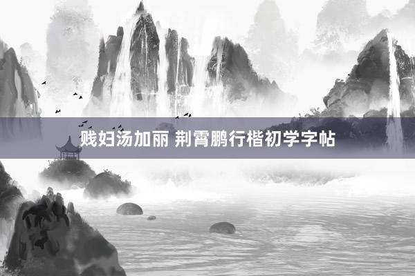 贱妇汤加丽 荆霄鹏行楷初学字帖