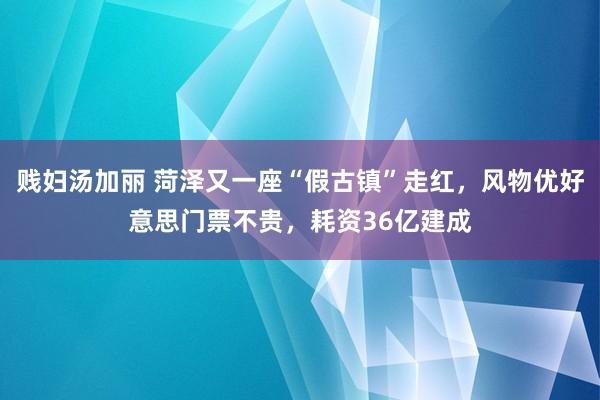 贱妇汤加丽 菏泽又一座“假古镇”走红，风物优好意思门票不贵，耗资36亿建成