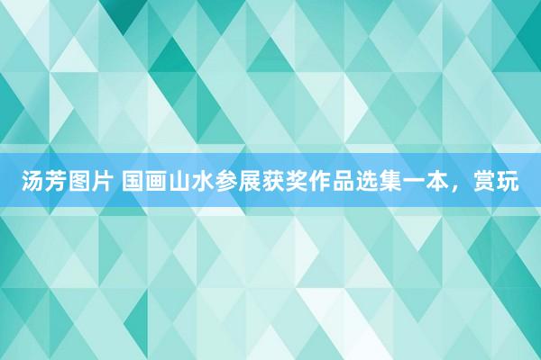 汤芳图片 国画山水参展获奖作品选集一本，赏玩