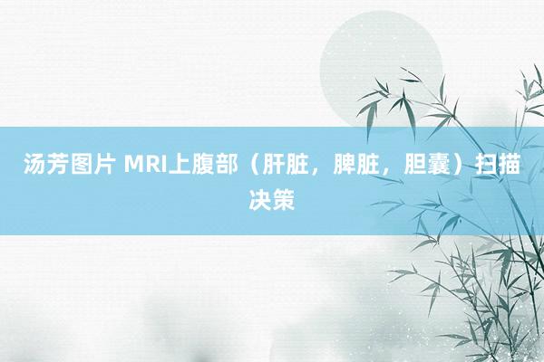 汤芳图片 MRI上腹部（肝脏，脾脏，胆囊）扫描决策