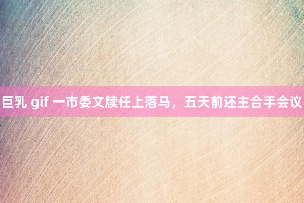 巨乳 gif 一市委文牍任上落马，五天前还主合手会议