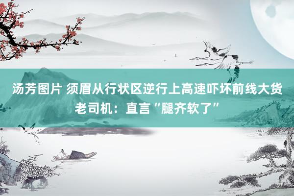 汤芳图片 须眉从行状区逆行上高速吓坏前线大货老司机：直言“腿齐软了”