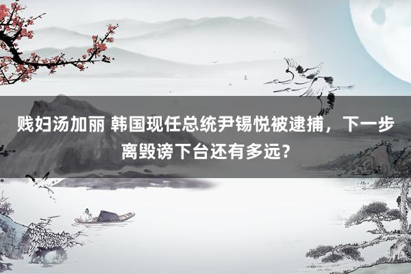 贱妇汤加丽 韩国现任总统尹锡悦被逮捕，下一步离毁谤下台还有多远？