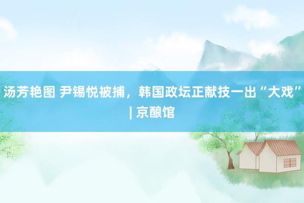 汤芳艳图 尹锡悦被捕，韩国政坛正献技一出“大戏”| 京酿馆