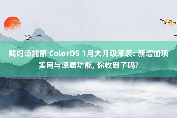 贱妇汤加丽 ColorOS 1月大升级来袭: 新增加项实用与深嗜功能， 你收到了吗?