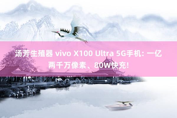 汤芳生殖器 vivo X100 Ultra 5G手机: 一亿两千万像素、80W快充!