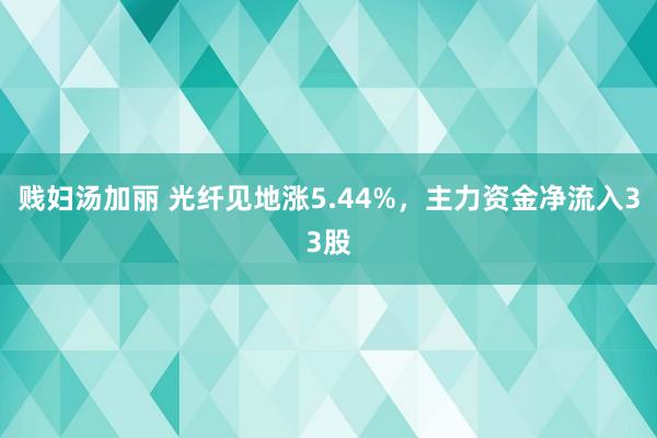 贱妇汤加丽 光纤见地涨5.44%，主力资金净流入33股