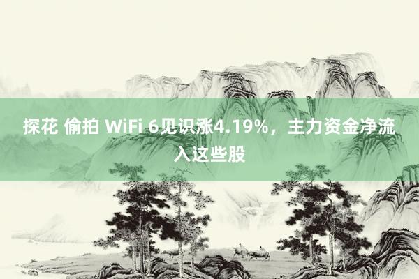探花 偷拍 WiFi 6见识涨4.19%，主力资金净流入这些股