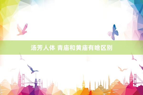 汤芳人体 青庙和黄庙有啥区别