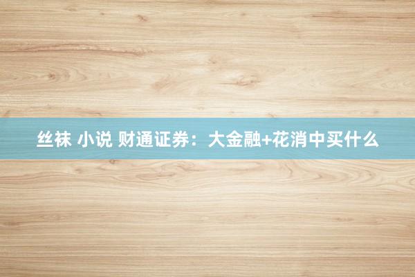 丝袜 小说 财通证券：大金融+花消中买什么