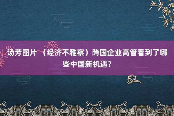 汤芳图片 （经济不雅察）跨国企业高管看到了哪些中国新机遇？