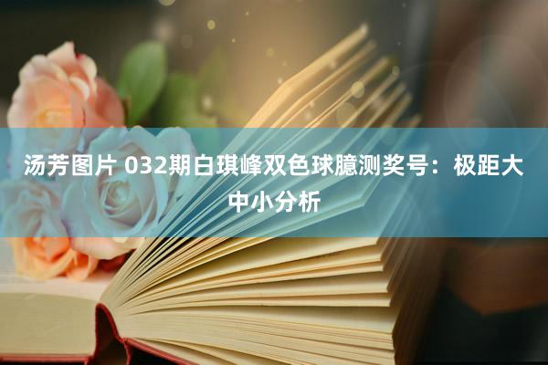 汤芳图片 032期白琪峰双色球臆测奖号：极距大中小分析