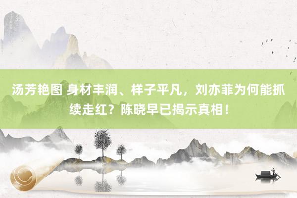 汤芳艳图 身材丰润、样子平凡，刘亦菲为何能抓续走红？陈晓早已揭示真相！