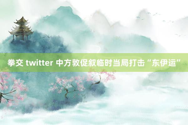 拳交 twitter 中方敦促叙临时当局打击“东伊运”