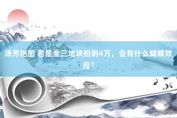 汤芳艳图 若是金三地块拍到4万,会有什么蝴蝶效应?
