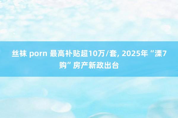 丝袜 porn 最高补贴超10万/套， 2025年“溧7购”房产新政出台