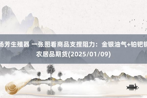 汤芳生殖器 一张图看商品支捏阻力：金银油气+铂钯铜农居品期货(2025/01/09)