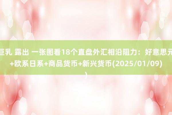 巨乳 露出 一张图看18个直盘外汇相沿阻力：好意思元+欧系日系+商品货币+新兴货币(2025/01/09)