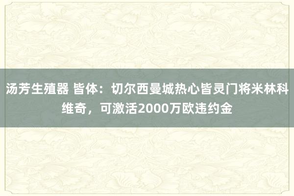 汤芳生殖器 皆体：切尔西曼城热心皆灵门将米林科维奇，可激活2000万欧违约金