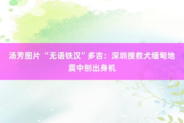 汤芳图片 “无语铁汉”多吉：深圳搜救犬缅甸地震中刨出身机