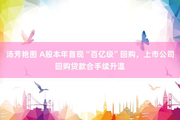 汤芳艳图 A股本年首现“百亿级”回购，上市公司回购贷款合手续升温