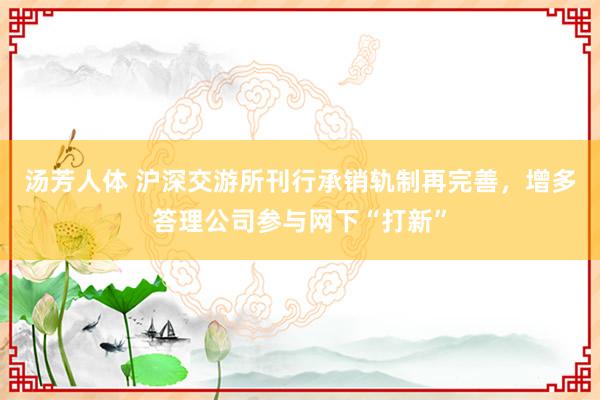 汤芳人体 沪深交游所刊行承销轨制再完善，增多答理公司参与网下“打新”
