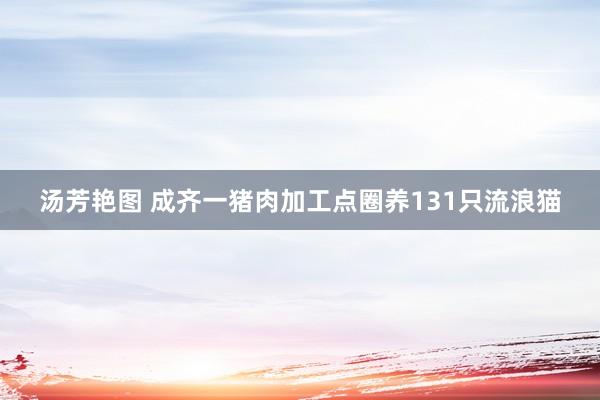 汤芳艳图 成齐一猪肉加工点圈养131只流浪猫