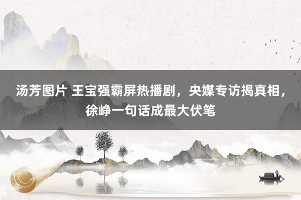 汤芳图片 王宝强霸屏热播剧，央媒专访揭真相，徐峥一句话成最大伏笔