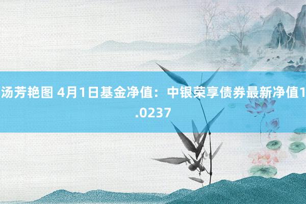 汤芳艳图 4月1日基金净值：中银荣享债券最新净值1.0237