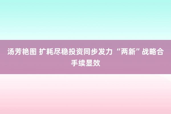 汤芳艳图 扩耗尽稳投资同步发力 “两新”战略合手续显效