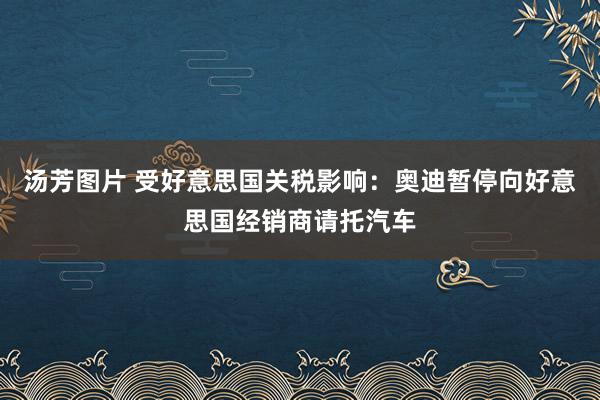 汤芳图片 受好意思国关税影响：奥迪暂停向好意思国经销商请托汽车