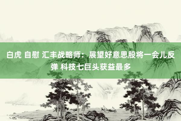 白虎 自慰 汇丰战略师：展望好意思股将一会儿反弹 科技七巨头获益最多