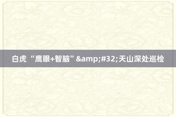 白虎 “鹰眼+智脑”&#32;天山深处巡检
