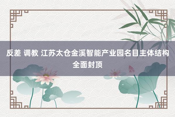 反差 调教 江苏太仓金溪智能产业园名目主体结构全面封顶