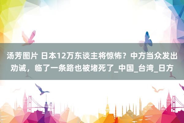 汤芳图片 日本12万东谈主将惊怖？中方当众发出劝诫，临了一条路也被堵死了_中国_台湾_日方