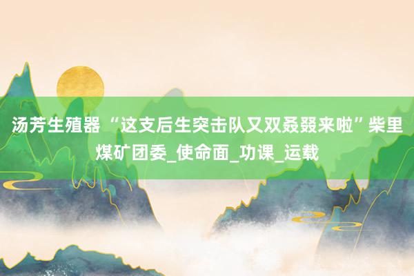 汤芳生殖器 “这支后生突击队又双叒叕来啦”柴里煤矿团委_使命面_功课_运载