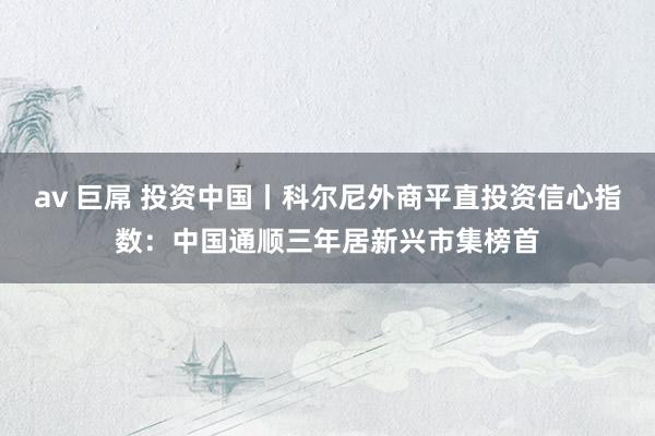 av 巨屌 投资中国丨科尔尼外商平直投资信心指数：中国通顺三年居新兴市集榜首