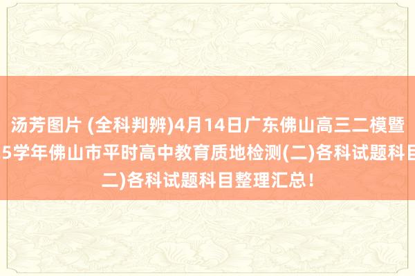 汤芳图片 (全科判辨)4月14日广东佛山高三二模暨2024~2025学年佛山市平时高中教育质地检测(二)各科试题科目整理汇总！
