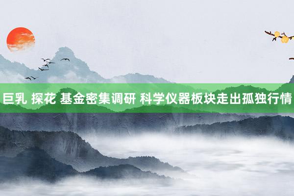 巨乳 探花 基金密集调研 科学仪器板块走出孤独行情