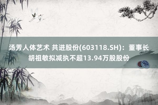 汤芳人体艺术 共进股份(603118.SH)：董事长胡祖敏拟减执不超13.94万股股份