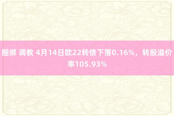 捆绑 调教 4月14日欧22转债下落0.16%，转股溢价率105.93%
