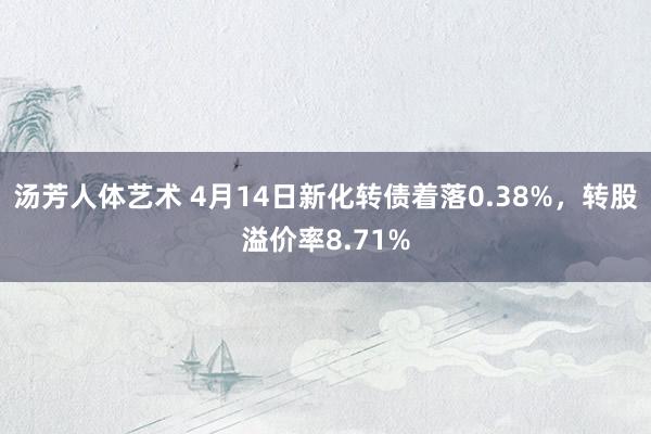 汤芳人体艺术 4月14日新化转债着落0.38%，转股溢价率8.71%
